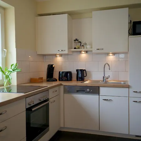 Moseleule * ميسينيش