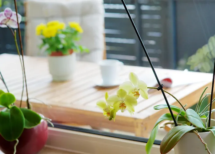 Apartamento Moseleule *